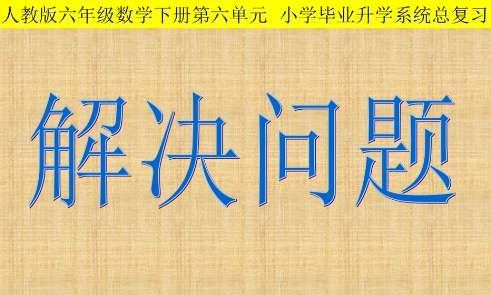 人教版六年级下册数学解决问题总复习-2
