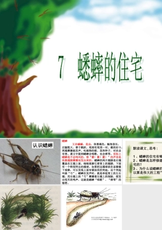 7《蟋蟀的住宅》PPT课件