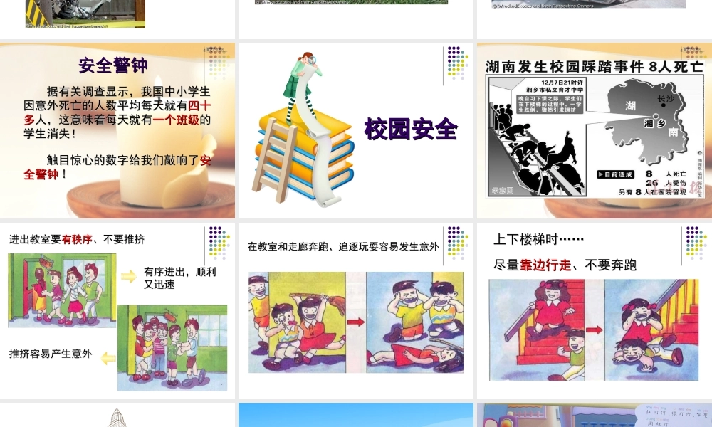 交通安全伴我行—安全教育主题班会