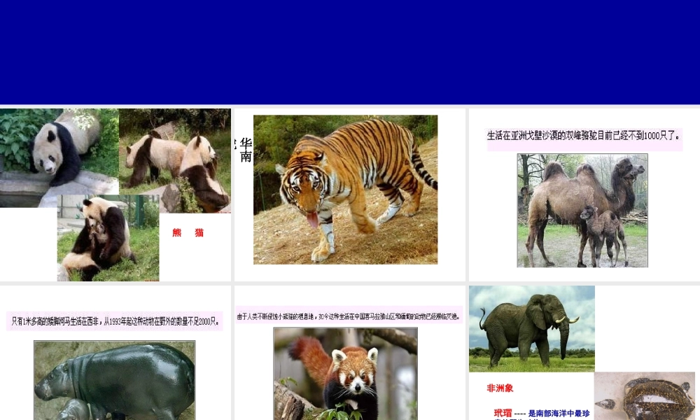 第四节生物多样性保护-(7)