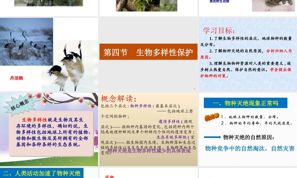 第四节生物多样性保护-(7)