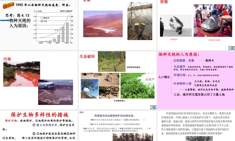 第四节生物多样性保护-(7)