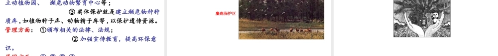 第四节生物多样性保护-(7)