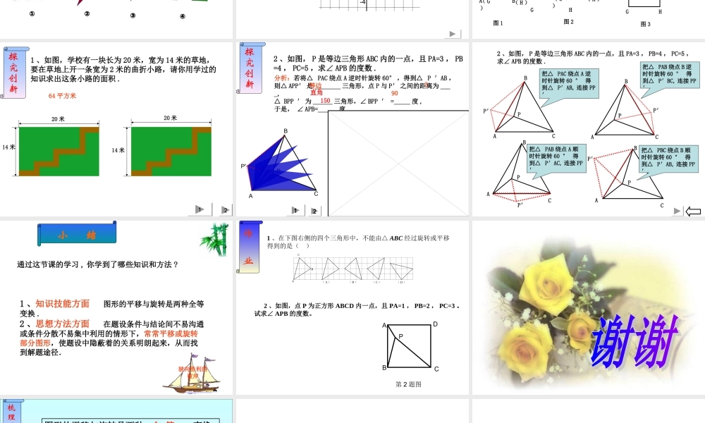 图形的平移与旋转复习