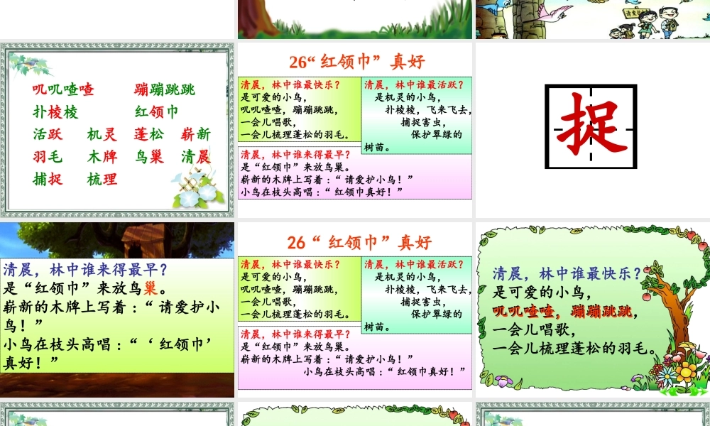 26.“红领巾”真好