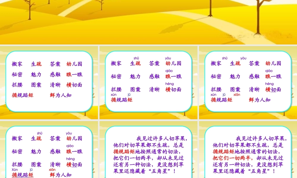 苹果里的五角星