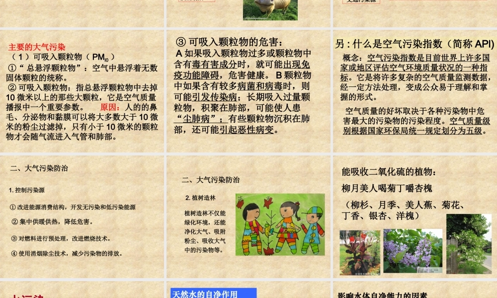 [41环境污染问题》课件(中图版选修6)