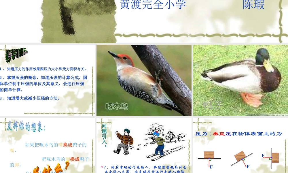 《压强》PPT课件