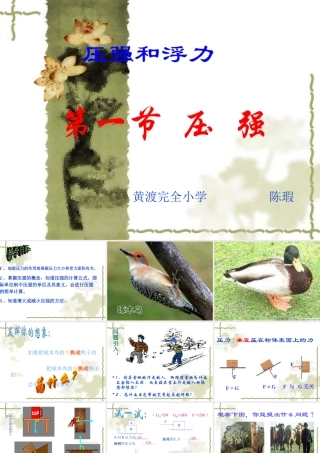 《压强》PPT课件