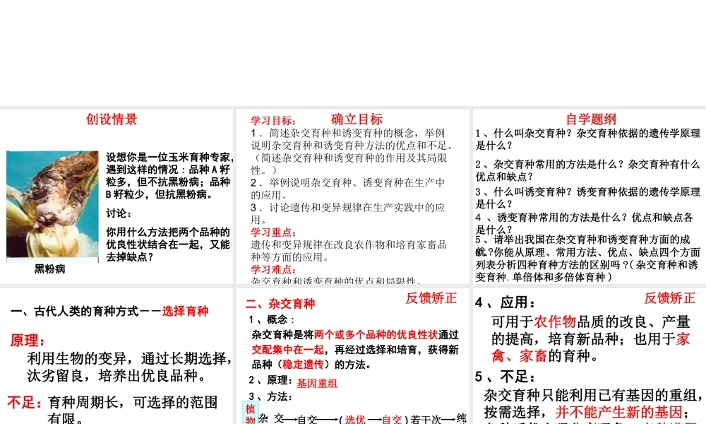 杂交育种与诱变育种