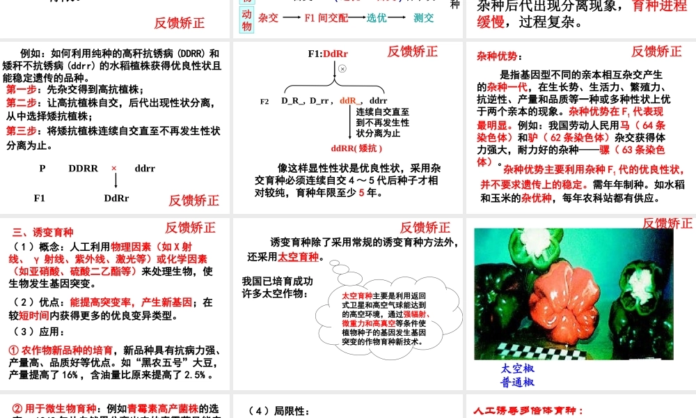 杂交育种与诱变育种