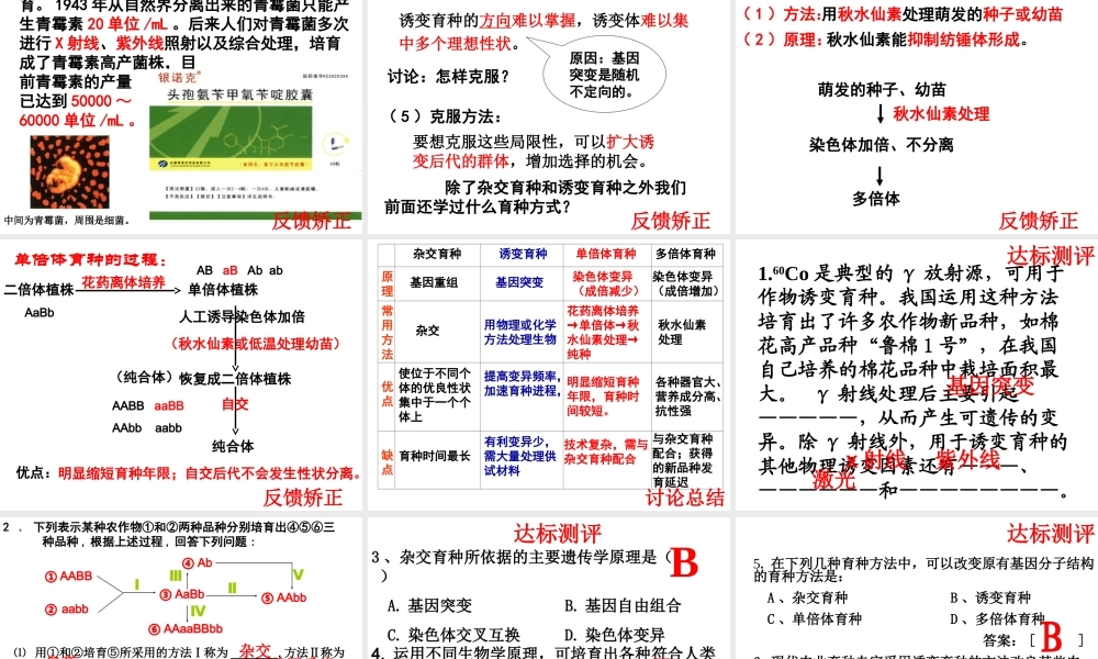 杂交育种与诱变育种