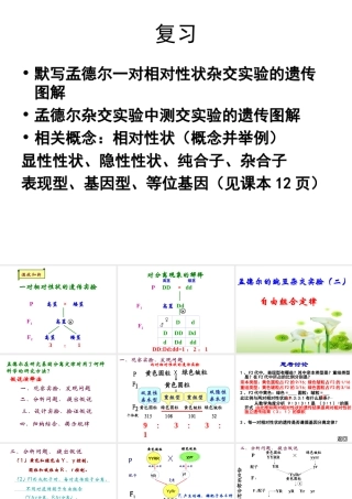 (很好)2011孟德尔豌豆杂交实验二第一课时小玲用