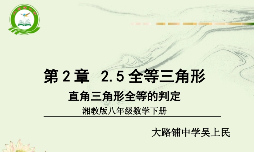 -直角三角形全等的判定