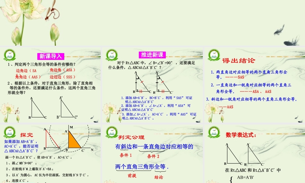 -直角三角形全等的判定