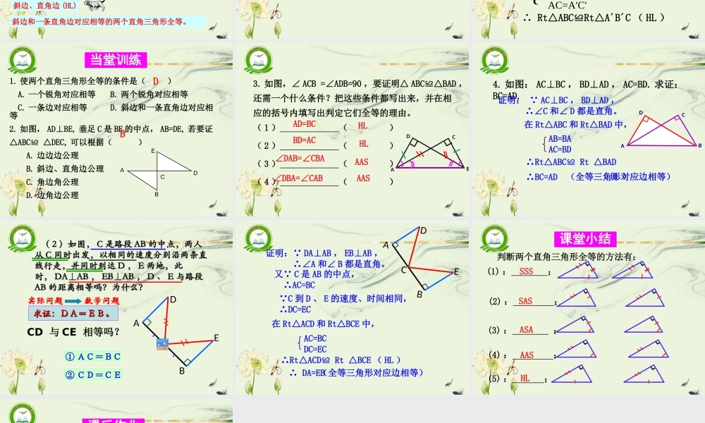 -直角三角形全等的判定