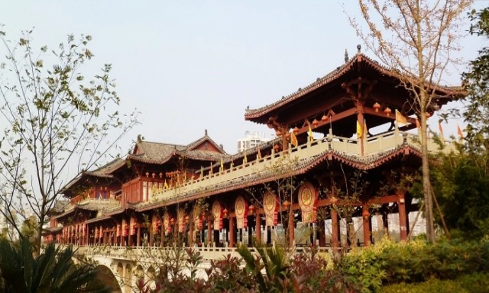 《桥之美》公开课