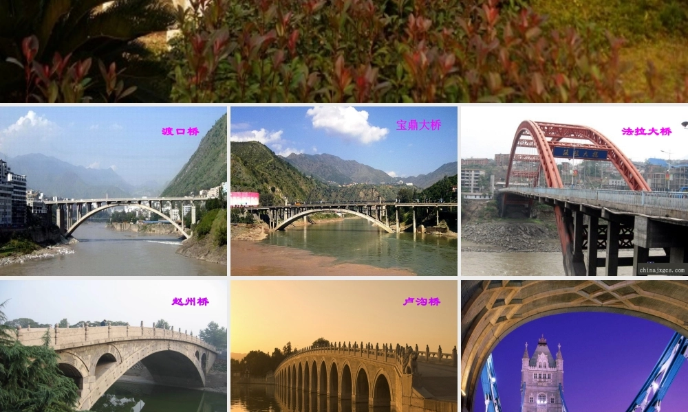 《桥之美》公开课