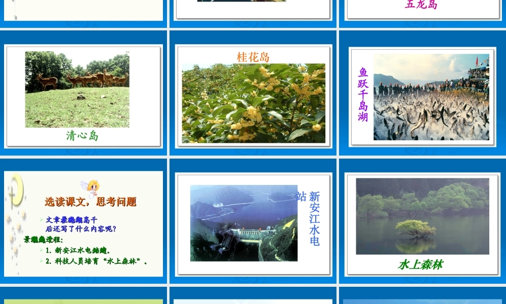 第十单元：《绿色千岛湖》课件