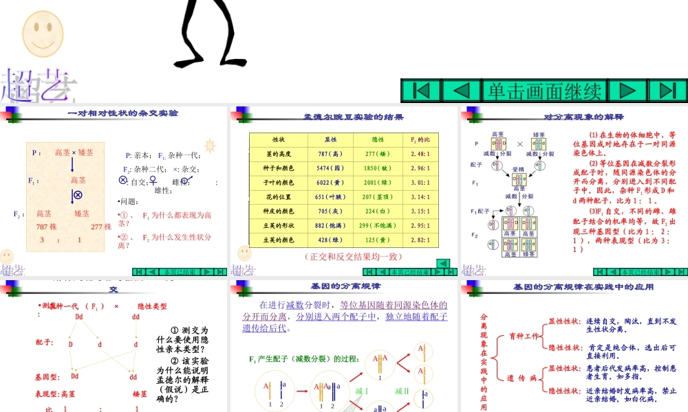 基因的分离规律(浙江省台州一中朱朝义)