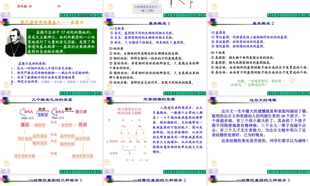 基因的分离规律(浙江省台州一中朱朝义)