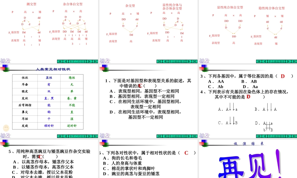 基因的分离规律(浙江省台州一中朱朝义)