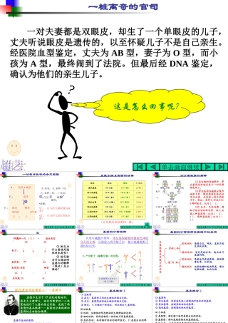 基因的分离规律(浙江省台州一中朱朝义)