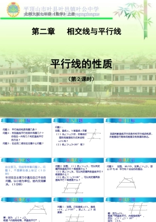 平行线的性质-课时2