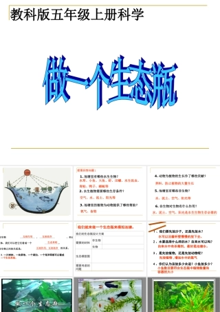 (教科版)五年级科学上册课件-做一个生态瓶-1