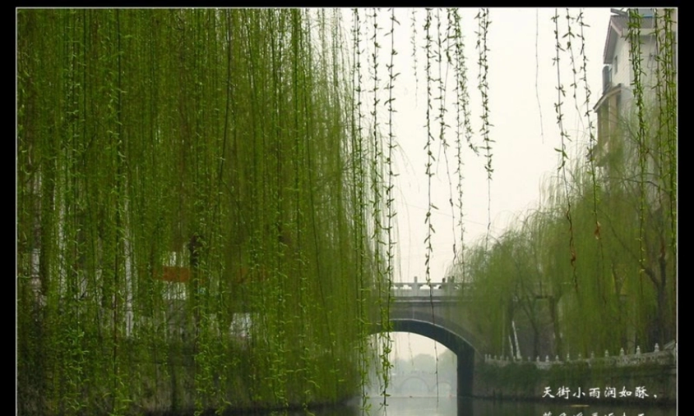 大自然的语言-(2)