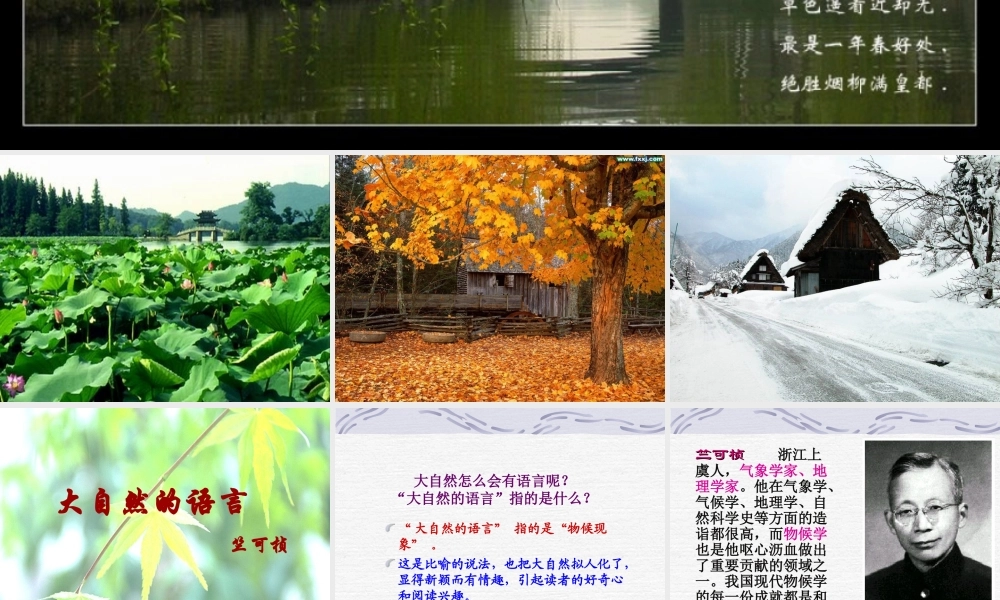 大自然的语言-(2)