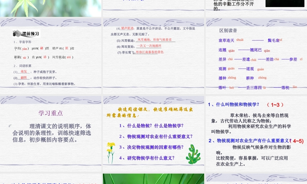 大自然的语言-(2)