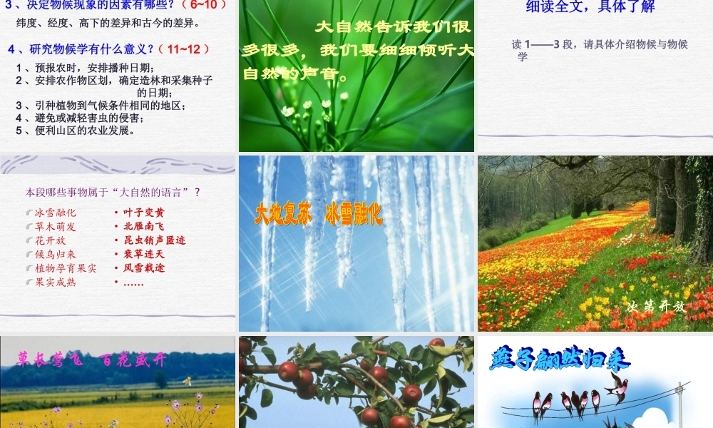 大自然的语言-(2)