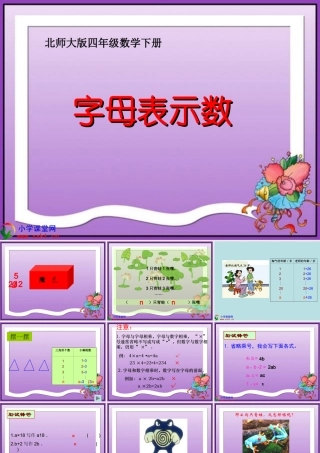 四年级数学下册《用字母表示数》PPT课件之十七(北师大版)