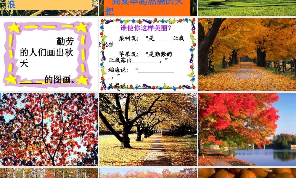 《秋天的图画》课件