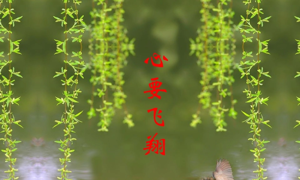 初三6班主题班会