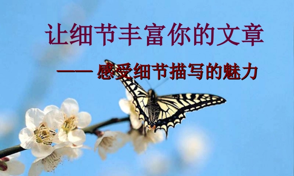 作文细节描写课件