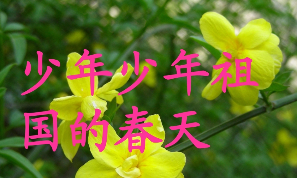 《少年少年祖国的春天》课件