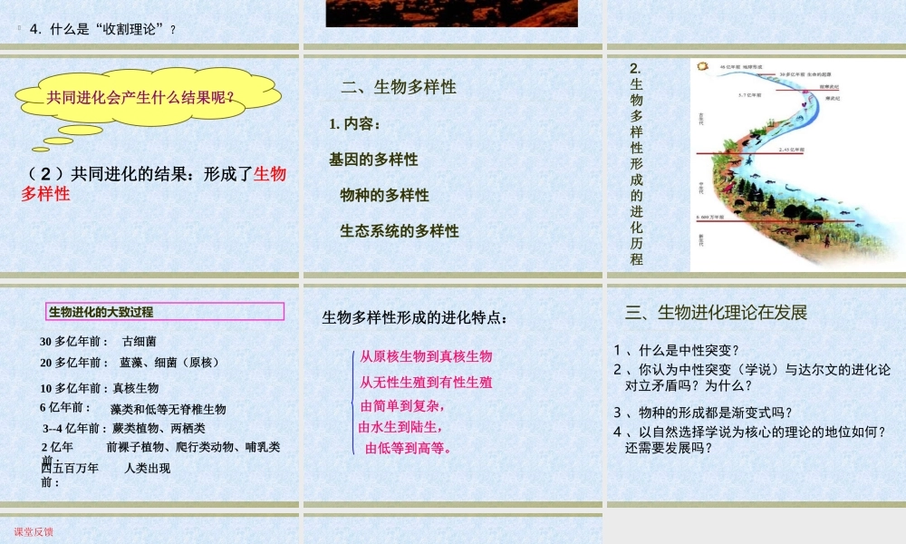 生物进化与生物多样性的形成