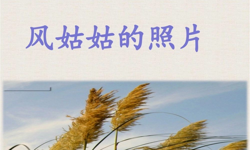《风姑姑的照片》课件2