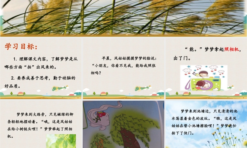 《风姑姑的照片》课件2