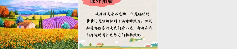 《风姑姑的照片》课件2