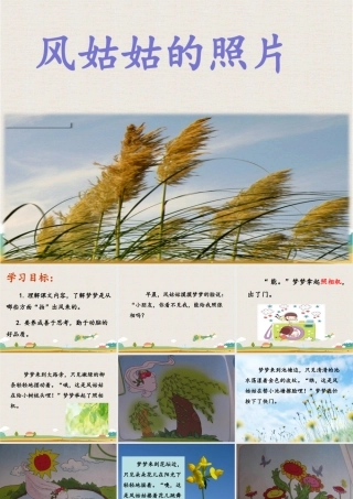 《风姑姑的照片》课件2