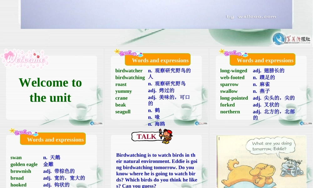 Unit5Birdwatcherswelcometotheunit课件