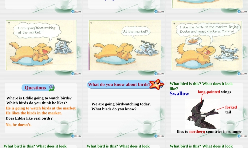 Unit5Birdwatcherswelcometotheunit课件