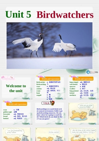 Unit5Birdwatcherswelcometotheunit课件