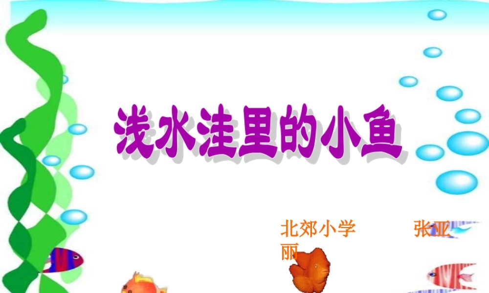 张亚丽《浅水洼里的小鱼》