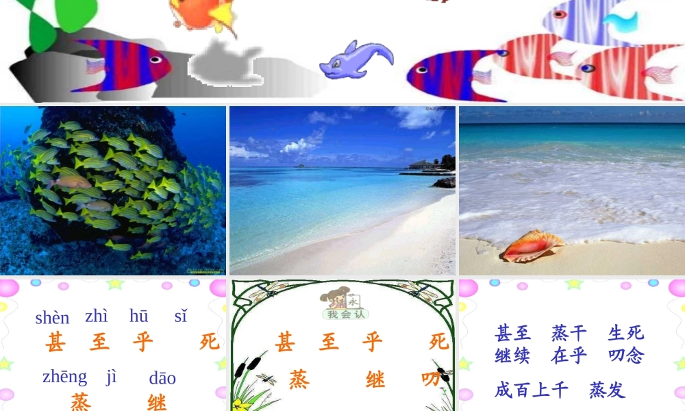 张亚丽《浅水洼里的小鱼》