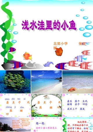 张亚丽《浅水洼里的小鱼》