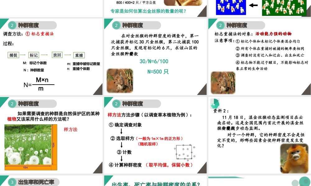 第一节种群的特征-(2)